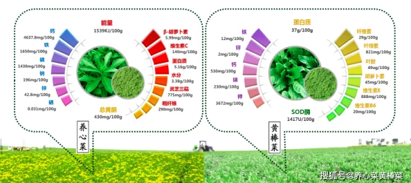 “特黄特色一清二楚”:用户评价揭示活动背后的独特魅力与鲜明风格,深度体验值得期待 “特黄特色一清二楚”:用户评价揭示活动背后的独特魅力与鲜明风格,深度体验值得期待