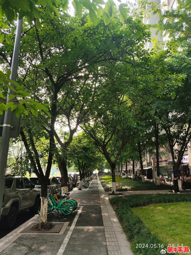 伊甸园二路三路四路2024:探索独特视角,让每条道路传递您的生活感悟与体验 伊甸园二路三路四路2024:探索独特视角,让每条道路传递您的生活感悟与体验
