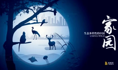 “xx69欧美:探索欧美文化的独特魅力与多样性,让我们一起领略不一样的视角与体验” “xx69欧美:探索欧美文化的独特魅力与多样性,让我们一起领略不一样的视角与体验”