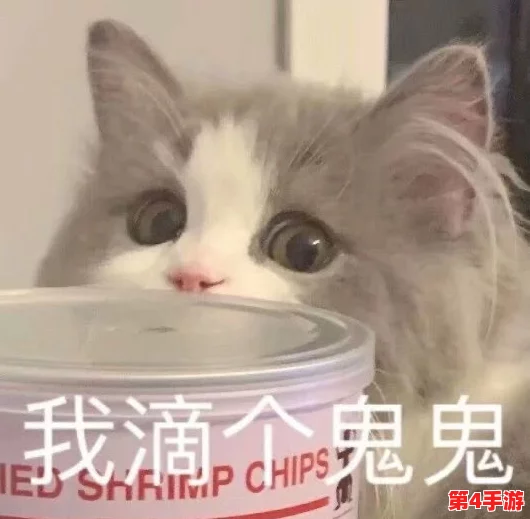元梦之星个性化指南：轻松掌握更换脸部表情与全新表情包的技巧
