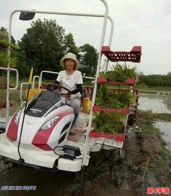 夫妻间100间插秧法人民网:种植技巧、农业知识、家庭农场经验分享 夫妻间100间插秧法人民网:种植技巧、农业知识、家庭农场经验分享