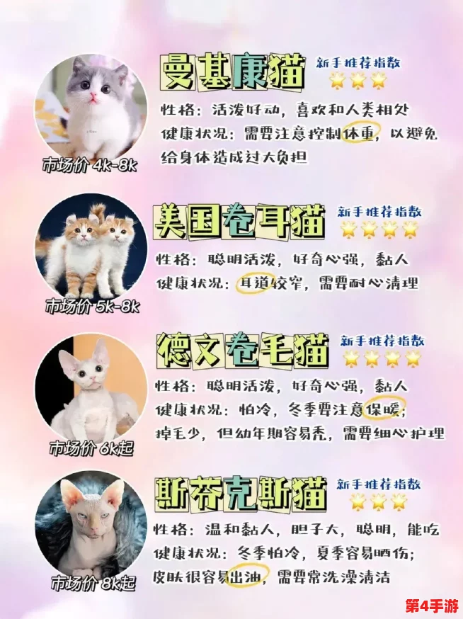 猫咪成人地域网名怎么取?2021年最新热门词汇分享 猫咪成人地域网名怎么取?2021年最新热门词汇分享
