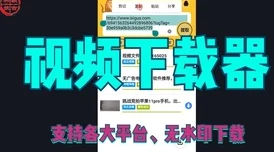 国外b站免费看片不收费入口，超清画质无广告在线观看体验优秀