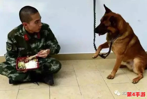 张警犬9分10秒头撞玻璃夸克，＂汪＂声一响惊天动地，网友直呼太拼命