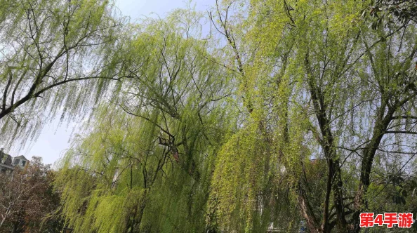 久色悠悠，网友称其为“时光的味道”，让人沉醉于岁月流转中的温暖与回忆