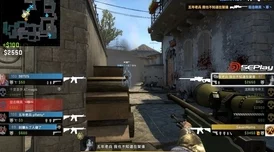 CSGO暴躁狂人免费观看：AWP神枪手教你如何一枪爆头成为服务器之王