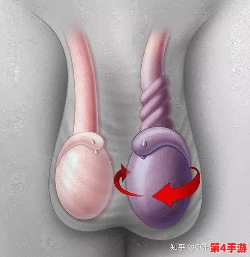 怎么玩睾丸无害但痛？了解这些技巧让你体验更安全的乐趣与刺激！