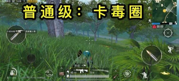 嫩叶草转换路线:从菜鸟到大神,开启你的草系进化之旅! 嫩叶草转换路线:从菜鸟到大神,开启你的草系进化之旅!