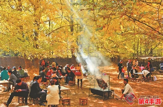 吃 网cgw01-热门词:美食、旅游、健康、生活方式 吃 网cgw01-热门词:美食、旅游、健康、生活方式