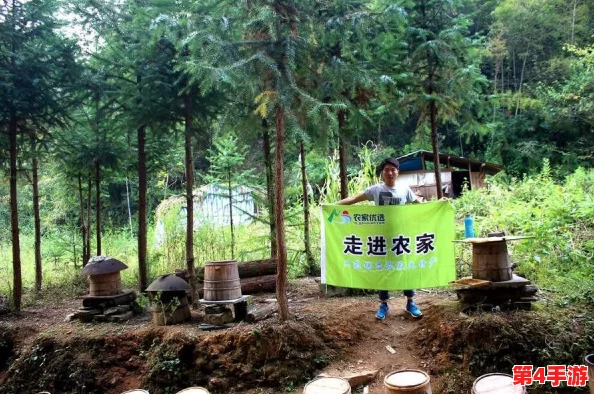 《地下城与勇士》高性价比宠物精选：综合属性与外观，哪一款是你的最优选？