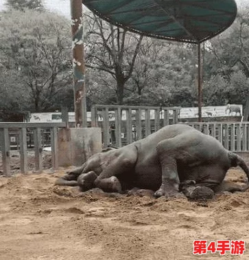 心动小镇:畅享日光沙浴,解锁专属SPA任务全攻略 心动小镇:畅享日光沙浴,解锁专属SPA任务全攻略