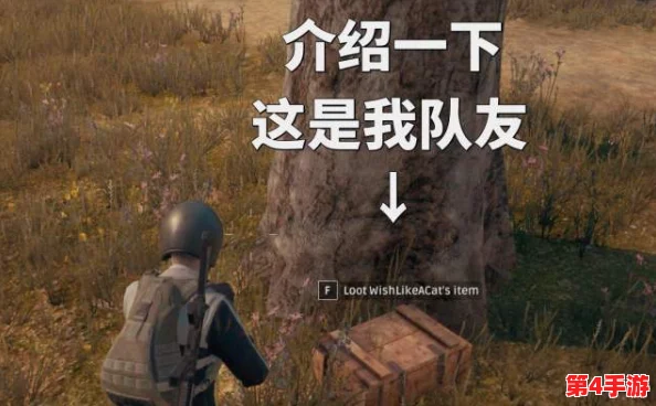 暴躁少女csgo最新任务：玩家称赞任务设计新颖，挑战性十足，乐趣无穷！