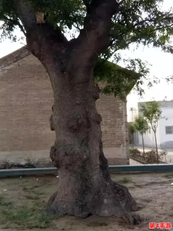 深入探讨性盈盈视频的社会影响与道德争议 深入探讨性盈盈视频的社会影响与道德争议