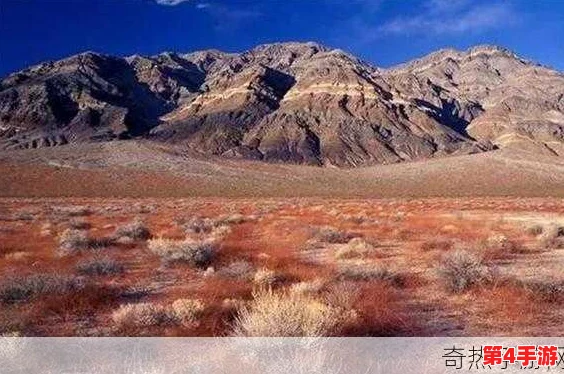 无人区编码6229刘乐观天下事：在复杂环境中寻找希望与机遇的思考