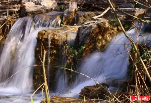 水帘白瀑如饥似渴一丛金黄，秋日阳光下的自然诗意与美学印象
