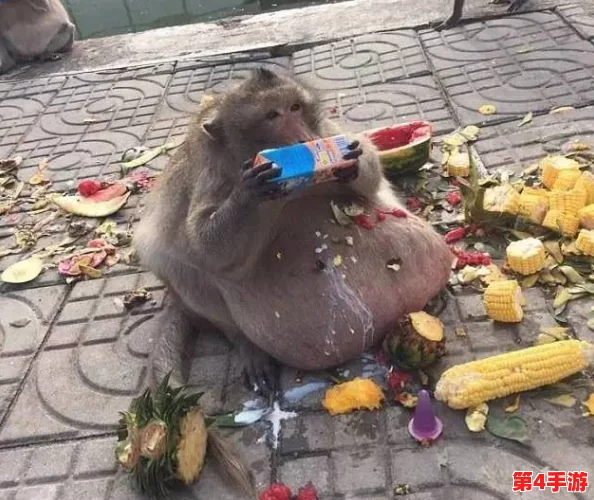 二人一起生猴子全程不盖被子,网友评价:这样的方式真是让人哭笑不得,居然还有人这么做! 二人一起生猴子全程不盖被子,网友评价:这样的方式真是让人哭笑不得,居然还有人这么做!