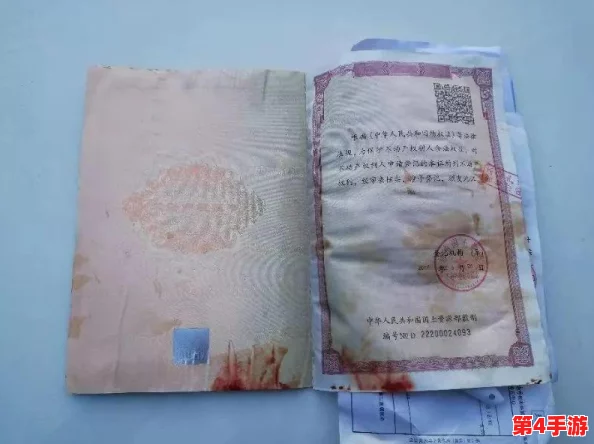 我丰满的岳 3的电影及其深刻情感表现背后的故事