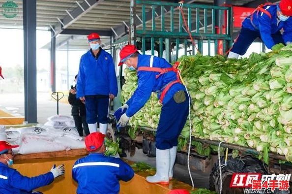 2024年必玩生存挑战精选:经典重生与新颖趣味并蓄的生存游戏大全集 2024年必玩生存挑战精选:经典重生与新颖趣味并蓄的生存游戏大全集