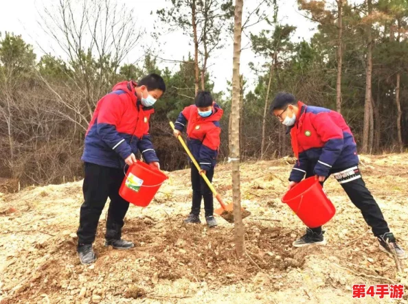 一前一后三个人过程怎么写：深入理解三人协作的有效步骤与方法解析