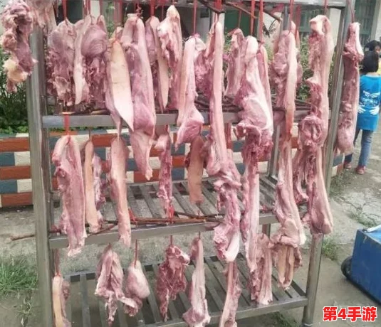 人猪又细又长像钻头一样图片轻松获取与安装方式 人猪又细又长像钻头一样图片轻松获取与安装方式