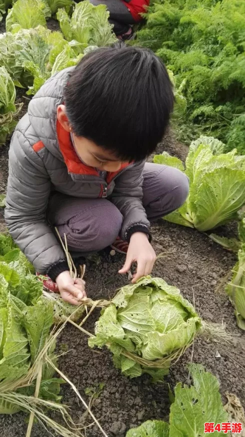 一小孩和妈妈摘萝卜不盖被子黄,网友热议:这才是真正的亲子时光与自然教育! 一小孩和妈妈摘萝卜不盖被子黄,网友热议:这才是真正的亲子时光与自然教育!