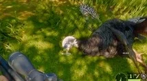 怪物猎人3：深度对比——猫的敏捷与狼的狂野，哪个更助你狩猎之巅？