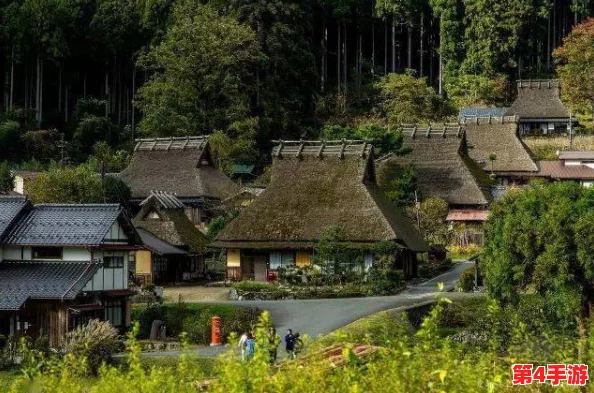 日本乡下有许多亲近相尾换伴，网友热议：这样的生活真让人向往，是心灵的归宿！