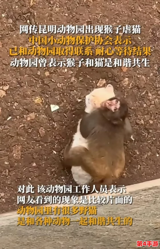 女人与公猪交交:理解人与动物之间复杂的情感与行为关系 女人与公猪交交:理解人与动物之间复杂的情感与行为关系