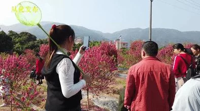 红桃国际：用户评价揭示了服务质量与游戏体验的真实感受，值得一试！