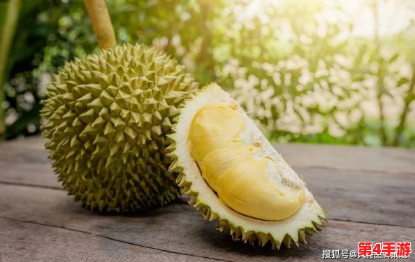 榴莲视频网站：深入理解其内容与用户体验的多样性与独特魅力