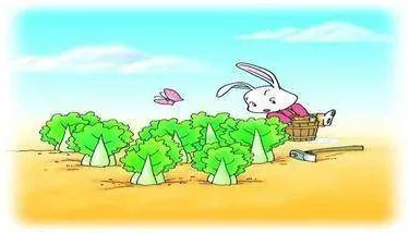 老师的大白兔：温暖课堂背后的故事与情感交织