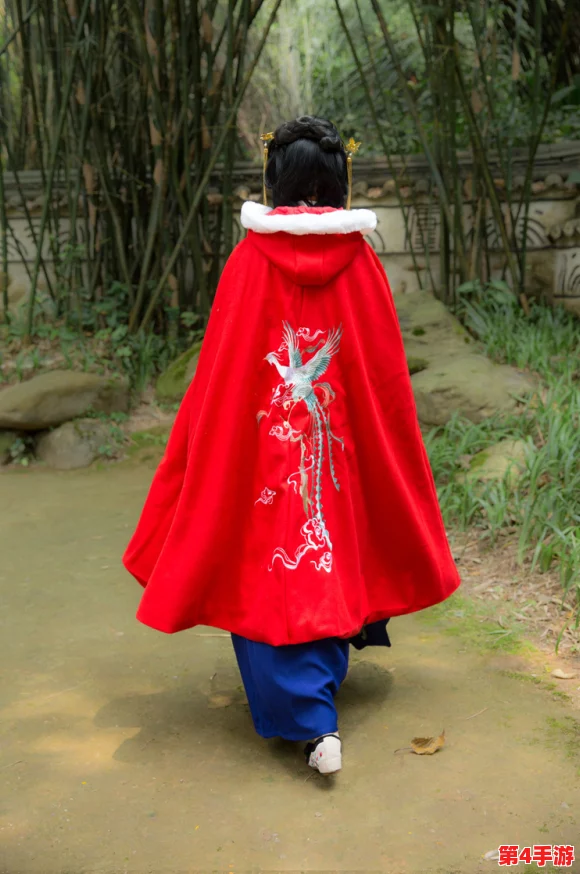 海角披风大神，风华绝代才子佳人共舞天涯