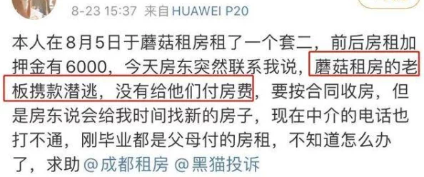 小雯和康健在深圳的租房活动：市场需求激增，年轻人面临更高租金压力