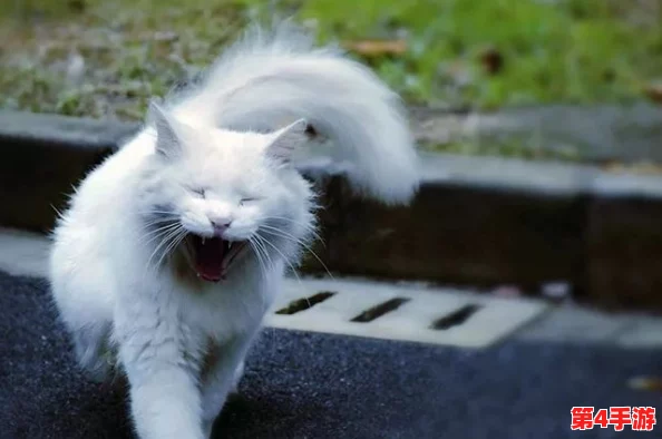 糖心网红柚子猫甘雨:网友称其可爱至极,萌化人心的绝佳选择! 糖心网红柚子猫甘雨:网友称其可爱至极,萌化人心的绝佳选择!