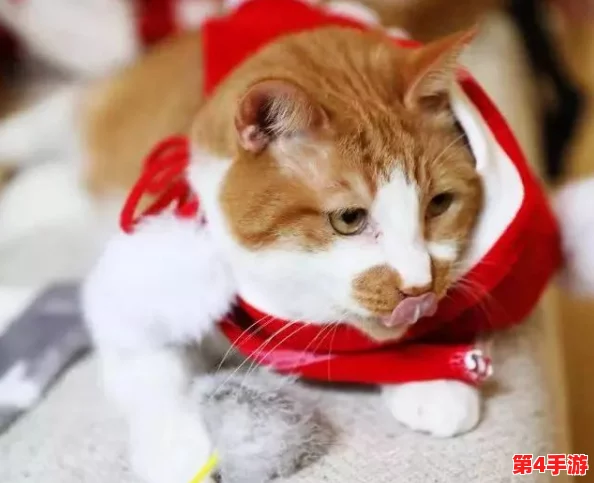 糖心网红柚子猫甘雨:网友称其可爱至极,萌化人心的绝佳选择! 糖心网红柚子猫甘雨:网友称其可爱至极,萌化人心的绝佳选择!