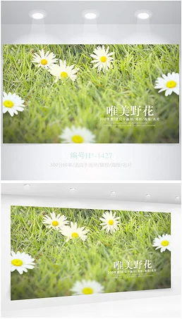 野花论坛高清：用户评价称其画质出众，内容丰富，是观看自然风光的最佳选择！