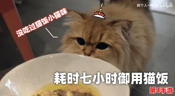 汤姆视频的最新网名tom:带你领略精彩有趣的内容与无限创意的乐趣分享 汤姆视频的最新网名tom:带你领略精彩有趣的内容与无限创意的乐趣分享