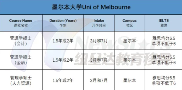 B大与小与其他年龄段对比：为何B大的表现总是超出预期？