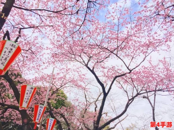 69日本XXXXXXXX96：畅游在樱花盛开的季节，感受春日的浪漫与温暖