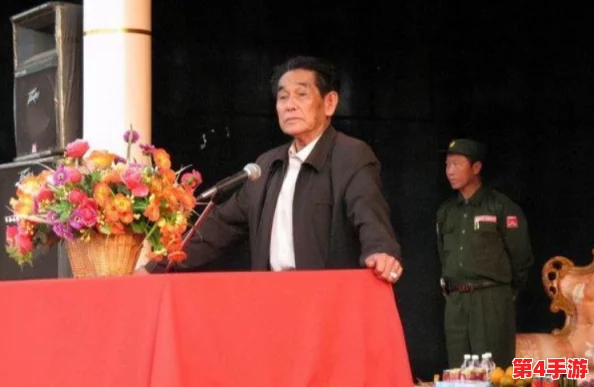 理解com缅北北部网站的功能与影响，深入分析其在地区信息传播中的作用