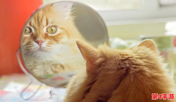 糖心柚子猫：新研究发现这种可爱猫咪的独特性格与其饮食习惯密切相关，吸引众多宠物爱好者关注