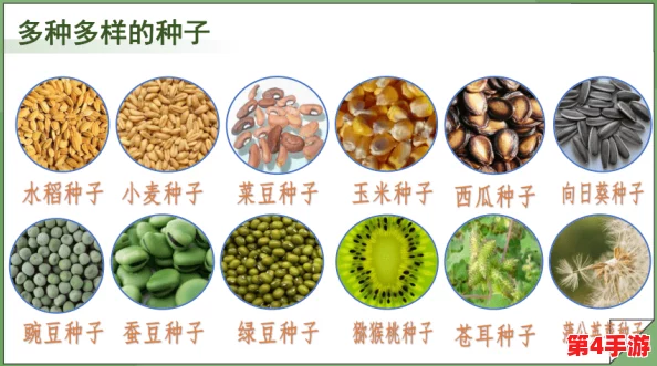 含羞草实验实验究2023：用户评价称其为生物学课堂的最佳实践，趣味与知识并存！