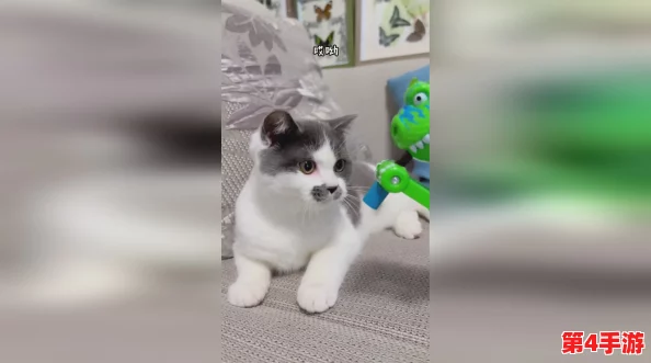 柚子猫糖心lvog：用户评价称其口感独特，甜而不腻，深受大家喜爱！