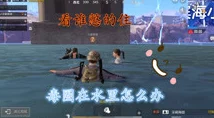 暴躁老阿姨csgo新手技巧小说：从菜鸟到高手的成长之路与心得分享