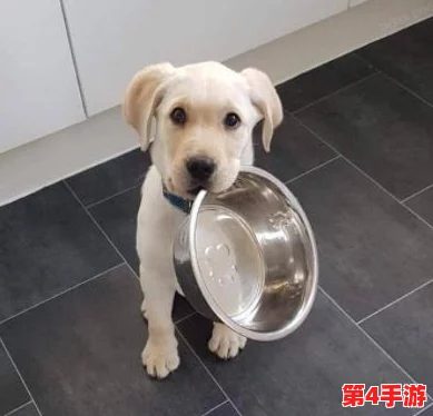 两人 一人吃10分钟:理解饮食习惯对健康的影响与时间管理的重要性 两人 一人吃10分钟:理解饮食习惯对健康的影响与时间管理的重要性