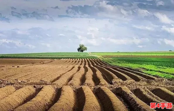 耕种妈妈肥沃的土地美国,硕果累累,富饶无边 耕种妈妈肥沃的土地美国,硕果累累,富饶无边
