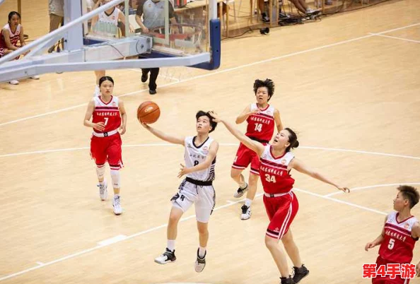 女篮比赛盛轮轩小说：激烈对抗与青春梦想交织，赛场上演精彩瞬间与感人故事