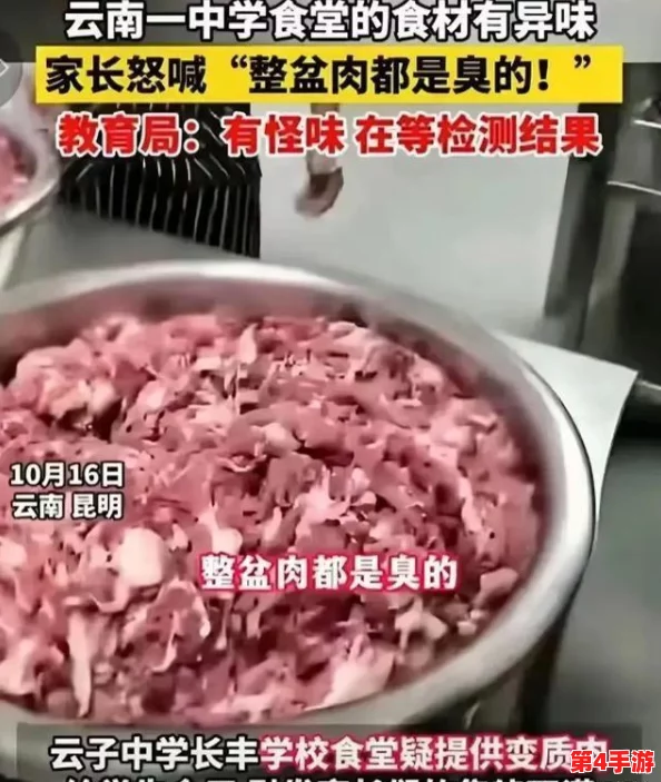 2024年勇士食堂独家福利放送:最新兑换码大揭秘,限时领取专属游戏好礼! 2024年勇士食堂独家福利放送:最新兑换码大揭秘,限时领取专属游戏好礼!