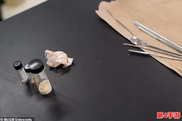 摩尔庄园手游全面指南：高效龙虾捕捉技巧与独家玩法攻略推荐