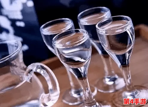 酒品升阶升哪个？了解不同类型酒品的选择与搭配，提升你的饮酒体验和社交场合表现